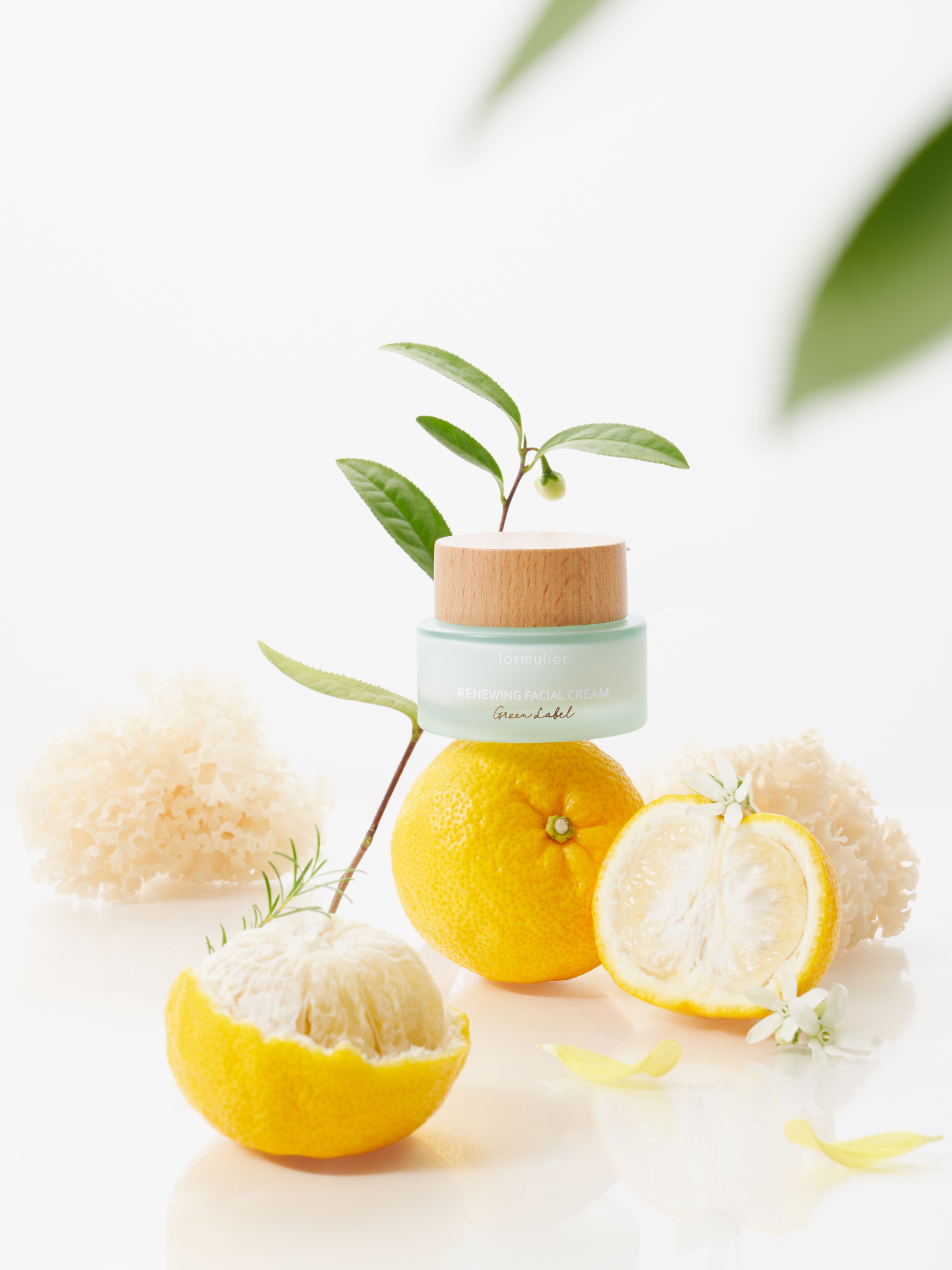 Crema facial renovadora orgánica Formulier | Kaizen Beauty